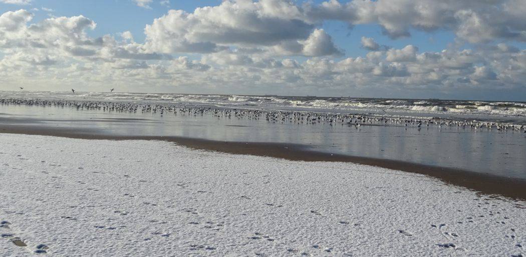 De nieuwe leeftijdscontrole van TikTok is geen wondermiddel